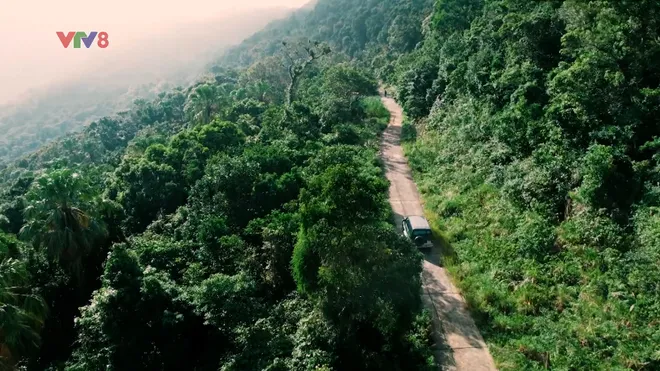 Sơn Trà: Bản hòa ca giữa đại ngàn và biển cả- Ảnh 5. Sơn Trà: Bản hòa ca giữa đại ngàn và biển cả- Ảnh 5.