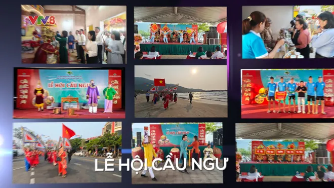 Sơn Trà: Bản hòa ca giữa đại ngàn và biển cả- Ảnh 14. Sơn Trà: Bản hòa ca giữa đại ngàn và biển cả- Ảnh 14.