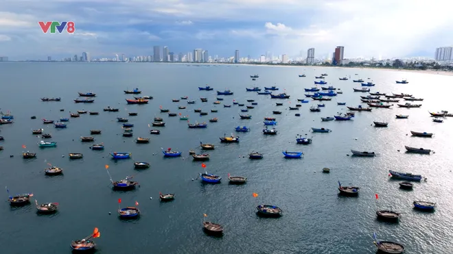Sơn Trà: Bản hòa ca giữa đại ngàn và biển cả- Ảnh 4. Sơn Trà: Bản hòa ca giữa đại ngàn và biển cả- Ảnh 4.