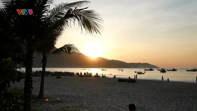 Sơn Trà: Bản hòa ca giữa đại ngàn và biển cả- Ảnh 9. Sơn Trà: Bản hòa ca giữa đại ngàn và biển cả- Ảnh 9.