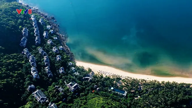Sơn Trà: Bản hòa ca giữa đại ngàn và biển cả- Ảnh 3. Sơn Trà: Bản hòa ca giữa đại ngàn và biển cả- Ảnh 3.