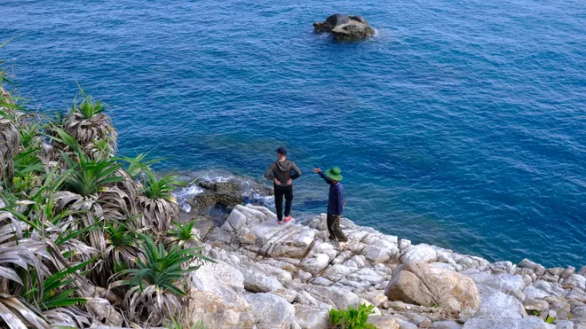 Vietnam Wild Live - Dấu ấn hành trình kỳ thú tại Vườn quốc gia Côn Đảo - Ảnh 6.