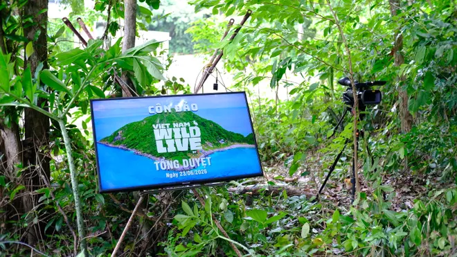 Vietnam Wild Live - Dấu ấn h&agrave;nh tr&igrave;nh kỳ th&uacute; tại Vườn quốc gia C&ocirc;n Đảo - Ảnh 2.