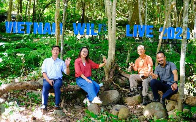 Vietnam Wild Live - Dấu ấn hành trình kỳ thú tại Vườn quốc gia Côn Đảo - Ảnh 7.