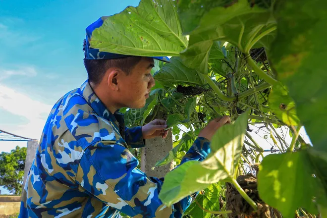 Giữa ngàn mây Sơn Trà: Nơi những cánh sóng giữ bình yên bầu trời Tổ quốc - Ảnh 3.