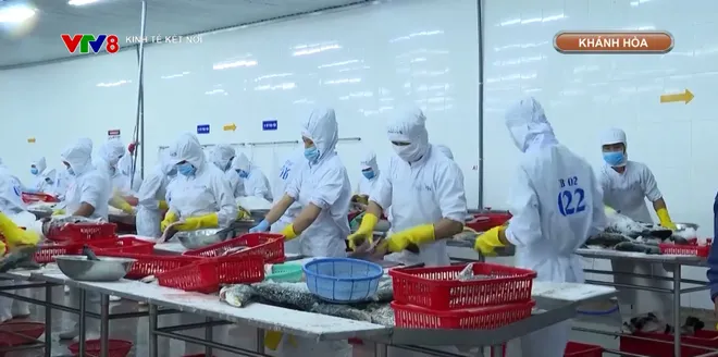 Kh&aacute;nh H&ograve;a hướng đến kiến tạo hệ sinh th&aacute;i Halal- Ảnh 9.