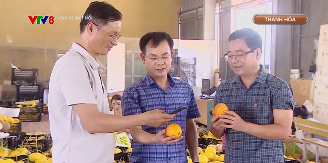 Nâng cao kỹ năng số cho nông dân- Ảnh 1. Nâng cao kỹ năng số cho nông dân- Ảnh 1.