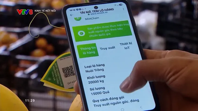 Nâng cao kỹ năng số cho nông dân- Ảnh 2. Nâng cao kỹ năng số cho nông dân- Ảnh 2.