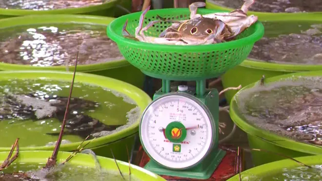 Phát triển du lịch làng biển bền vững: Đừng để “hạt sạn” nhỏ làm mất lòng khách- Ảnh 7. Phát triển du lịch làng biển bền vững: Đừng để “hạt sạn” nhỏ làm mất lòng khách- Ảnh 7.