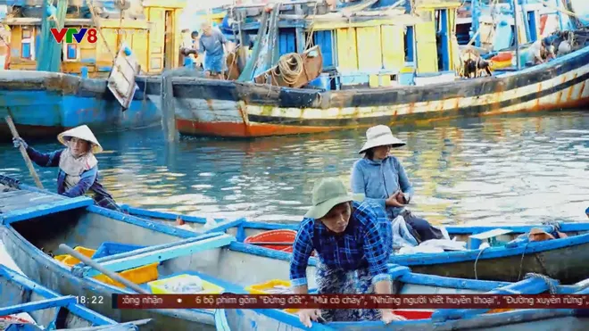 Chợ nổi Cửa Đại: Phiên chợ độc đáo trên cửa biển Quảng Ngãi thu hút du khách- Ảnh 2. Chợ nổi Cửa Đại: Phiên chợ độc đáo trên cửa biển Quảng Ngãi thu hút du khách- Ảnh 2.