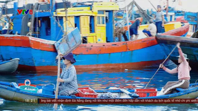 Chợ nổi Cửa Đại: Phiên chợ độc đáo trên cửa biển Quảng Ngãi thu hút du khách- Ảnh 3. Chợ nổi Cửa Đại: Phiên chợ độc đáo trên cửa biển Quảng Ngãi thu hút du khách- Ảnh 3.