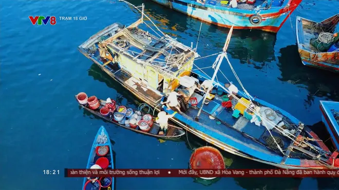 Chợ nổi Cửa Đại: Phiên chợ độc đáo trên cửa biển Quảng Ngãi thu hút du khách- Ảnh 9. Chợ nổi Cửa Đại: Phiên chợ độc đáo trên cửa biển Quảng Ngãi thu hút du khách- Ảnh 9.