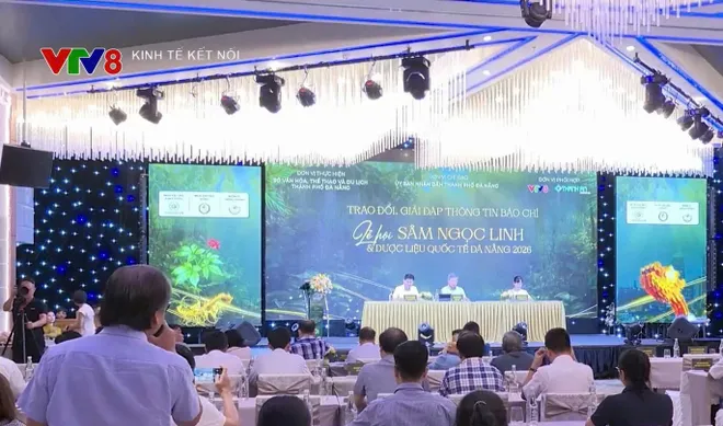 Họp báo lễ hội sâm Quốc tế - Sâm Ngọc Linh 2026- Ảnh 7. Họp báo lễ hội sâm Quốc tế - Sâm Ngọc Linh 2026- Ảnh 7.