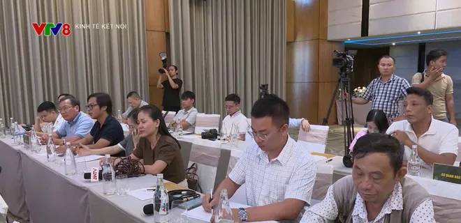 Họp báo lễ hội sâm Quốc tế - Sâm Ngọc Linh 2026- Ảnh 6. Họp báo lễ hội sâm Quốc tế - Sâm Ngọc Linh 2026- Ảnh 6.