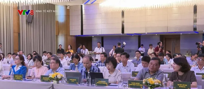 Họp báo lễ hội sâm Quốc tế - Sâm Ngọc Linh 2026- Ảnh 2. Họp báo lễ hội sâm Quốc tế - Sâm Ngọc Linh 2026- Ảnh 2.