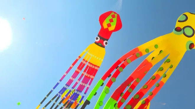 Lễ hội diều khổng lồ rực rỡ sắc màu tại festival Biển Khánh Hòa 2026- Ảnh 3. Lễ hội diều khổng lồ rực rỡ sắc màu tại festival Biển Khánh Hòa 2026- Ảnh 3.