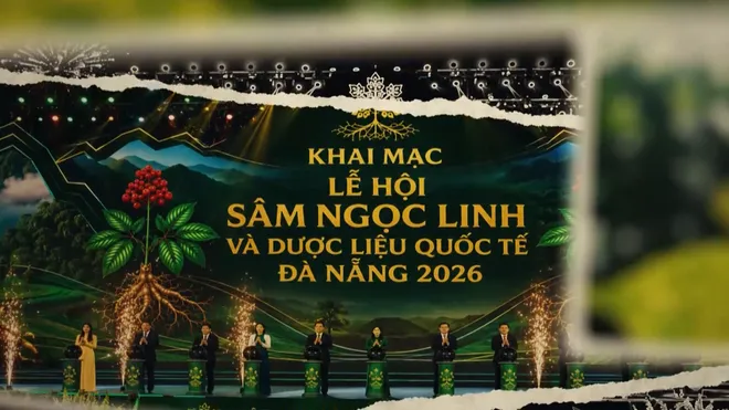 Lễ hội Sâm Ngọc Linh và Dược liệu Quốc tế Đà Nẵng 2026: Nâng tầm giá trị quốc bảo- Ảnh 5. Lễ hội Sâm Ngọc Linh và Dược liệu Quốc tế Đà Nẵng 2026: Nâng tầm giá trị quốc bảo- Ảnh 5.