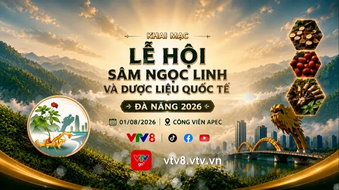 Lễ hội Sâm Ngọc Linh và Dược liệu Quốc tế Đà Nẵng 2026: Nâng tầm giá trị quốc bảo- Ảnh 14. Lễ hội Sâm Ngọc Linh và Dược liệu Quốc tế Đà Nẵng 2026: Nâng tầm giá trị quốc bảo- Ảnh 14.