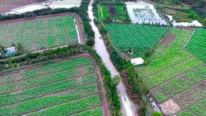 Nông dân số (VTV10): lan tỏa giá trị bền vững cho nông nghiệp hiện đại - Ảnh 2.