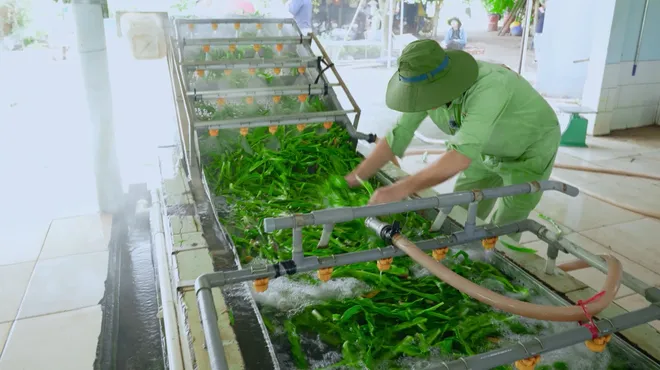 Nông dân số (VTV10): lan tỏa giá trị bền vững cho nông nghiệp hiện đại - Ảnh 4.