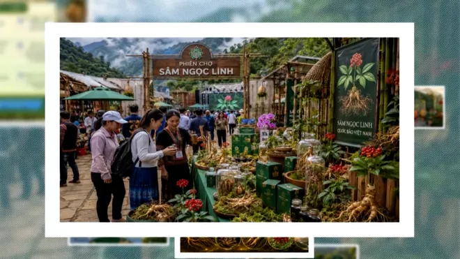 Lễ hội Sâm Ngọc Linh và Dược liệu Quốc tế Đà Nẵng 2026: Nâng tầm giá trị quốc bảo- Ảnh 4. Lễ hội Sâm Ngọc Linh và Dược liệu Quốc tế Đà Nẵng 2026: Nâng tầm giá trị quốc bảo- Ảnh 4.