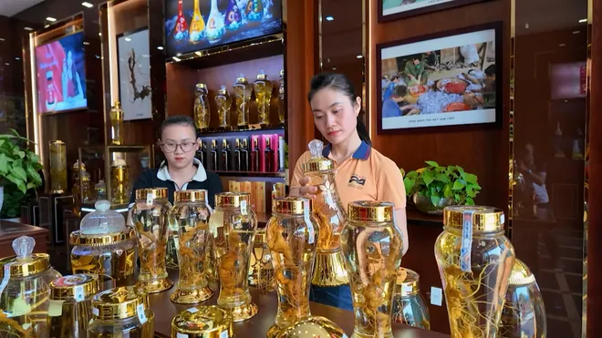 Lễ hội Sâm Ngọc Linh và Dược liệu Quốc tế Đà Nẵng 2026: Nâng tầm giá trị quốc bảo- Ảnh 8. Lễ hội Sâm Ngọc Linh và Dược liệu Quốc tế Đà Nẵng 2026: Nâng tầm giá trị quốc bảo- Ảnh 8.