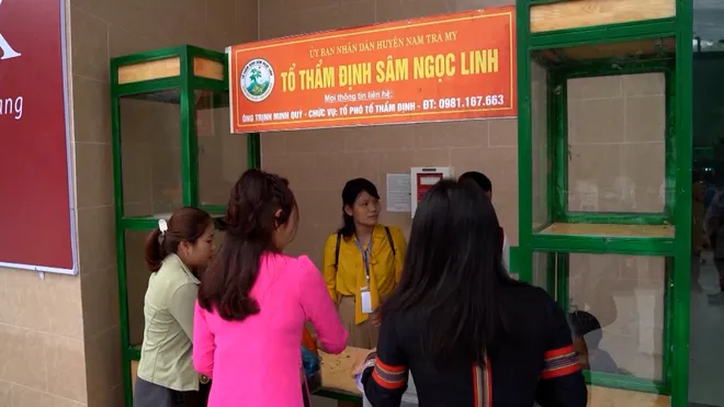 Lễ hội Sâm Ngọc Linh và Dược liệu Quốc tế Đà Nẵng 2026: Nâng tầm giá trị quốc bảo- Ảnh 7. Lễ hội Sâm Ngọc Linh và Dược liệu Quốc tế Đà Nẵng 2026: Nâng tầm giá trị quốc bảo- Ảnh 7.