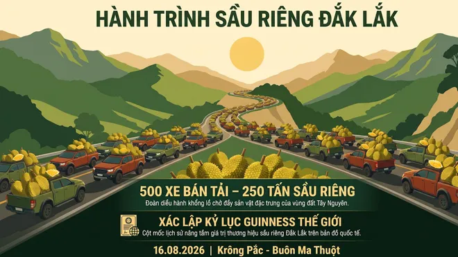 Sự kiện diễu hành xe bán tải chở sầu riêng: Xác lập Kỷ lục Guinness từ "vàng xanh" cao nguyên- Ảnh 4. Sự kiện diễu hành xe bán tải chở sầu riêng: Xác lập Kỷ lục Guinness từ "vàng xanh" cao nguyên- Ảnh 4.
