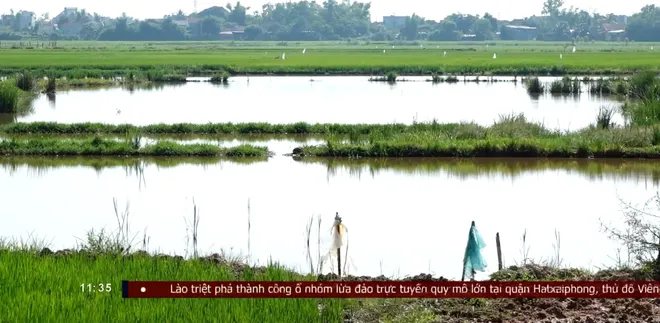 Đắk Lắk: Khắc phục bồi lấp kênh mương do thi công cao tốc- Ảnh 6. Đắk Lắk: Khắc phục bồi lấp kênh mương do thi công cao tốc- Ảnh 6.