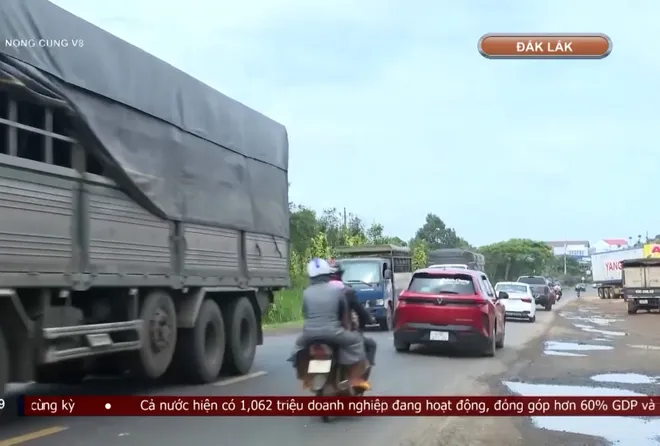 Đắk Lắk: Tăng cường bảo đảm an toàn giao thông mùa thu hoạch sầu riêng- Ảnh 3. Đắk Lắk: Tăng cường bảo đảm an toàn giao thông mùa thu hoạch sầu riêng- Ảnh 3.