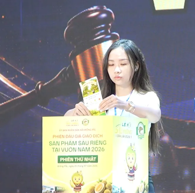 Đấu giá sầu riêng công khai - Bước chuyển mới trong sản xuất nông nghiệp ở Đắk Lắk- Ảnh 1. Đấu giá sầu riêng công khai - Bước chuyển mới trong sản xuất nông nghiệp ở Đắk Lắk- Ảnh 1.