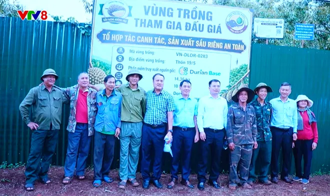Đấu giá sầu riêng công khai - Bước chuyển mới trong sản xuất nông nghiệp ở Đắk Lắk- Ảnh 6. Đấu giá sầu riêng công khai - Bước chuyển mới trong sản xuất nông nghiệp ở Đắk Lắk- Ảnh 6.