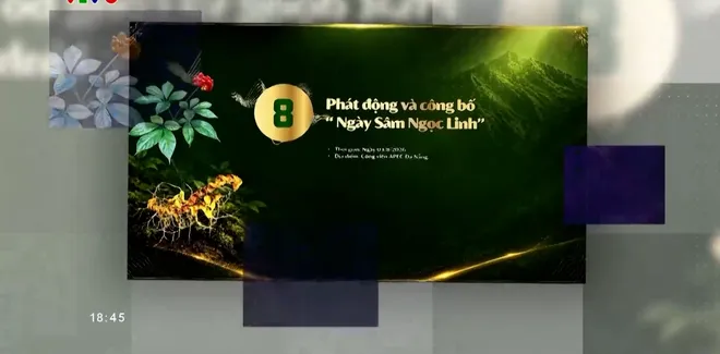 Đ&agrave; Nẵng chuẩn bị chu đ&aacute;o cho Lễ hội S&acirc;m Ngọc Linh v&agrave; Dược liệu Quốc tế: Kh&aacute;t vọng n&acirc;ng tầm thương hiệu quốc gia- Ảnh 7.