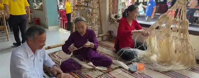 Hoa Ngô đồng khoe sắc, hút du khách đến Cù Lao Chàm- Ảnh 2. Hoa Ngô đồng khoe sắc, hút du khách đến Cù Lao Chàm- Ảnh 2.