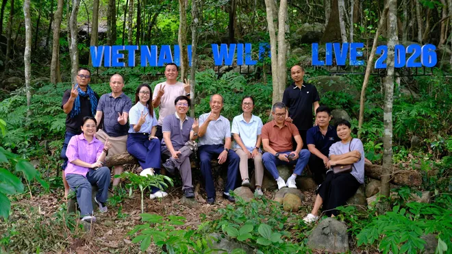 Phía sau ống kính trong Wild Live: Kịch bản thay đổi từng phút, ê-kíp đụng đâu xử lý đó - Ảnh 4.