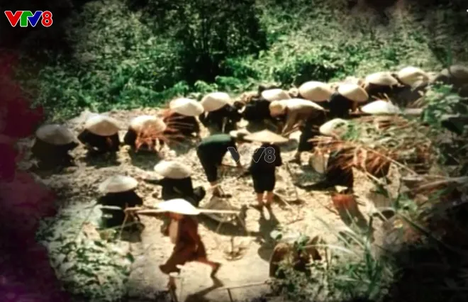 "Tiêu thổ kháng chiến": Mệnh lệnh từ trái tim Tổ quốc và bài học trường tồn từ xứ Thanh- Ảnh 9. "Tiêu thổ kháng chiến": Mệnh lệnh từ trái tim Tổ quốc và bài học trường tồn từ xứ Thanh- Ảnh 9.