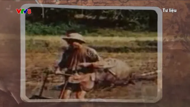 Hậu phương Thanh Hóa và bài học về sức mạnh lòng dân trong chiến thắng Điện Biên Phủ- Ảnh 4. Hậu phương Thanh Hóa và bài học về sức mạnh lòng dân trong chiến thắng Điện Biên Phủ- Ảnh 4.