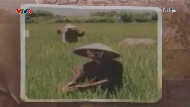 Hậu phương Thanh Hóa và bài học về sức mạnh lòng dân trong chiến thắng Điện Biên Phủ- Ảnh 5. Hậu phương Thanh Hóa và bài học về sức mạnh lòng dân trong chiến thắng Điện Biên Phủ- Ảnh 5.