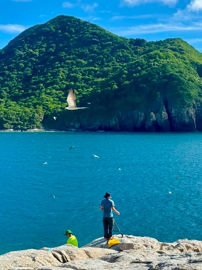 Vietnam Wild Live và câu chuyện "hứng sóng" ở Côn Đảo - Ảnh 9.