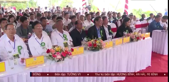 Đà Nẵng tổ chức nghi lễ cúng Thần Sâm- Ảnh 2. Đà Nẵng tổ chức nghi lễ cúng Thần Sâm- Ảnh 2.