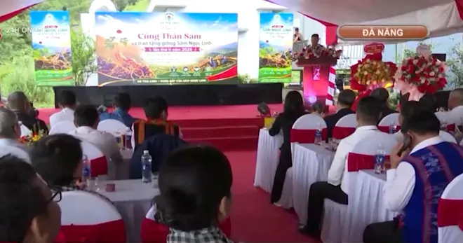 Đà Nẵng tổ chức nghi lễ cúng Thần Sâm- Ảnh 1. Đà Nẵng tổ chức nghi lễ cúng Thần Sâm- Ảnh 1.
