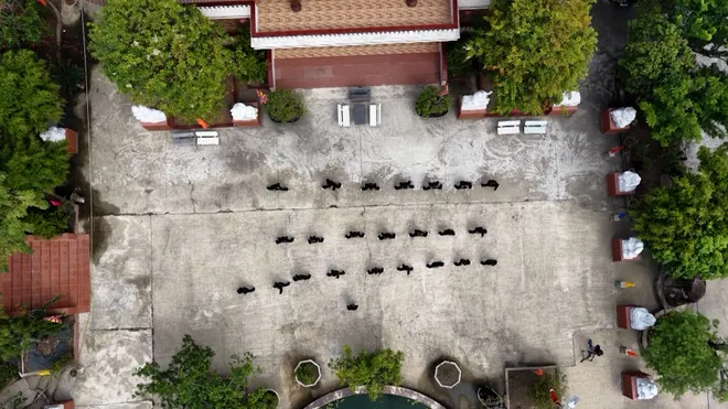 Tìm về vùng đất võ: Nhịp cầu di sản vươn tầm quốc tế- Ảnh 6. Tìm về vùng đất võ: Nhịp cầu di sản vươn tầm quốc tế- Ảnh 6.