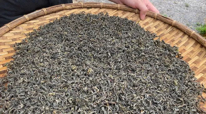 Giữ g&igrave;n văn h&oacute;a từ những lớp học dưới t&aacute;n ch&egrave; Shan tuyết L&agrave;o Cai  - Ảnh 4.
