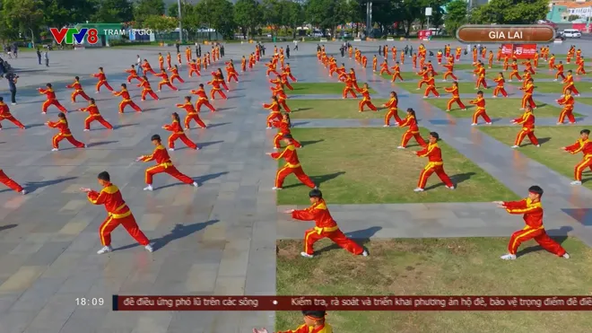 Võ cổ truyền Việt Nam gìn giữ bản sắc, vươn tầm di sản thế giới- Ảnh 1. Võ cổ truyền Việt Nam gìn giữ bản sắc, vươn tầm di sản thế giới- Ảnh 1.
