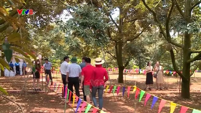 Lễ hội Sầu riêng Đắk Lắk 2026 sẵn sàng khai hội với nhiều điểm nhấn đặc sắc- Ảnh 6. Lễ hội Sầu riêng Đắk Lắk 2026 sẵn sàng khai hội với nhiều điểm nhấn đặc sắc- Ảnh 6.