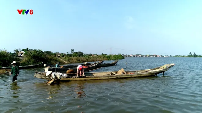 Bún hến Mai Xá: Món ngon dân dã mang đậm vị quê hương- Ảnh 1. Bún hến Mai Xá: Món ngon dân dã mang đậm vị quê hương- Ảnh 1.