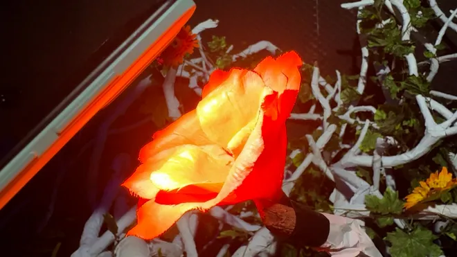 Âm thanh đại ngàn sống động trong không gian nghệ thuật tương tác- Ảnh 7. Âm thanh đại ngàn sống động trong không gian nghệ thuật tương tác- Ảnh 7.