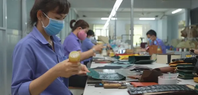 Hành trình của một tấm da- Ảnh 5. Hành trình của một tấm da- Ảnh 5.