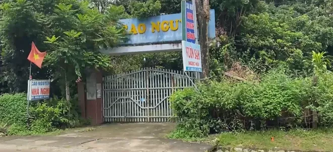 T&aacute;i diễn nguy hiểm t&igrave;nh trạng đội lốt thương hiệu S&acirc;m Ngọc Linh: Cần ph&aacute;p luật v&agrave;o cuộc triệt để- Ảnh 3.