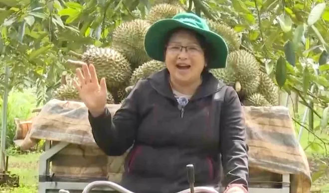 Sầu riêng Đắk Lắk vào vụ, mở rộng khát vọng kết nối và vươn xa- Ảnh 4. Sầu riêng Đắk Lắk vào vụ, mở rộng khát vọng kết nối và vươn xa- Ảnh 4.